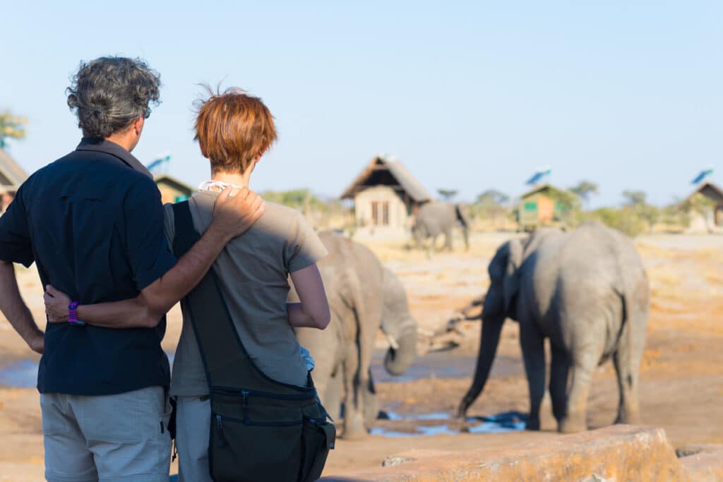 Hugging couple looking at elephant herd drinking from waterhole. Adventure and wildlife safari in Africa. People traveling concept.