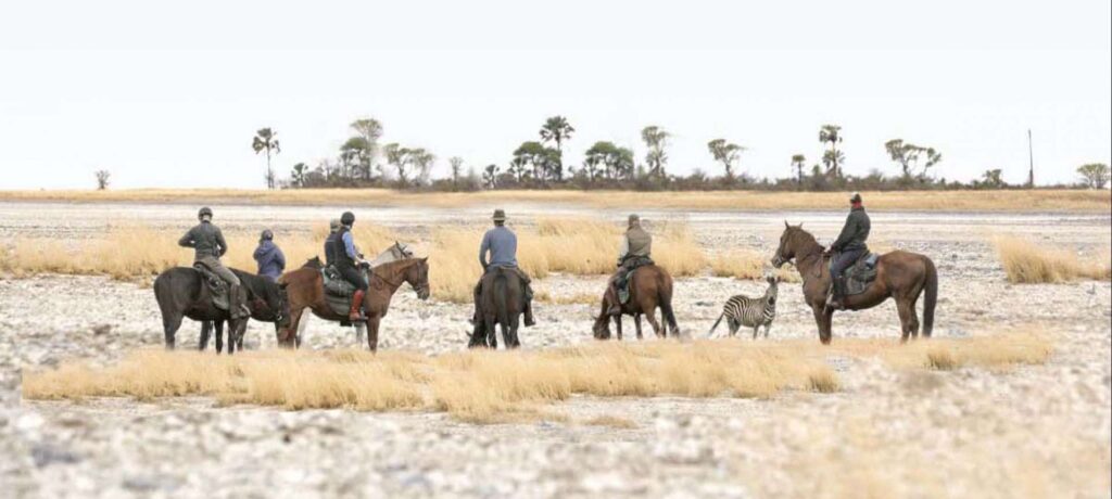 Horse riding expeditions are a great way to view wildlife