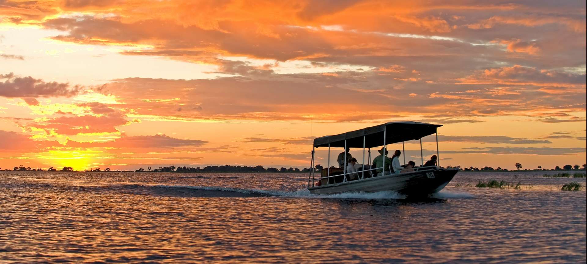 A boat cruise on the Chobe river is a magical experience
