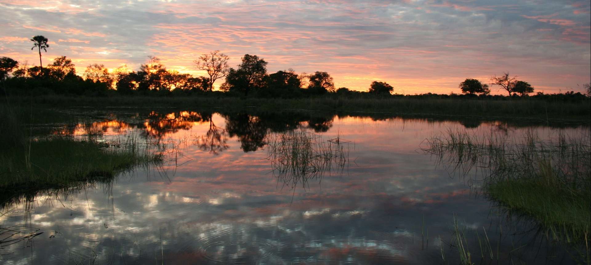 The Okavango Delta is a magical place