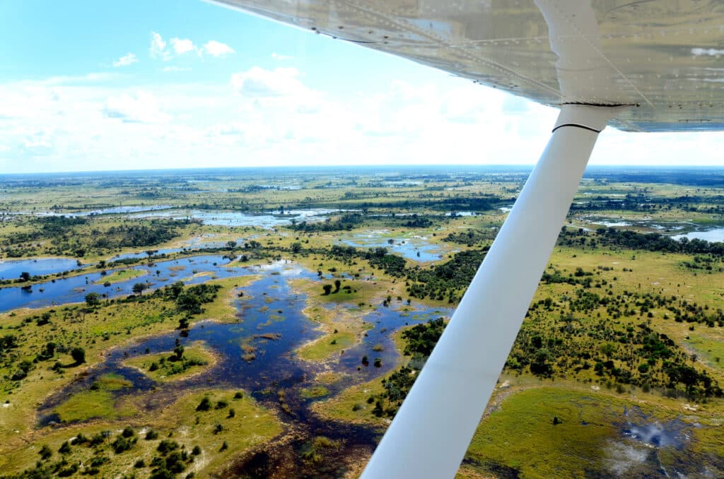 the view from an aircraft flying over the Okavango delta