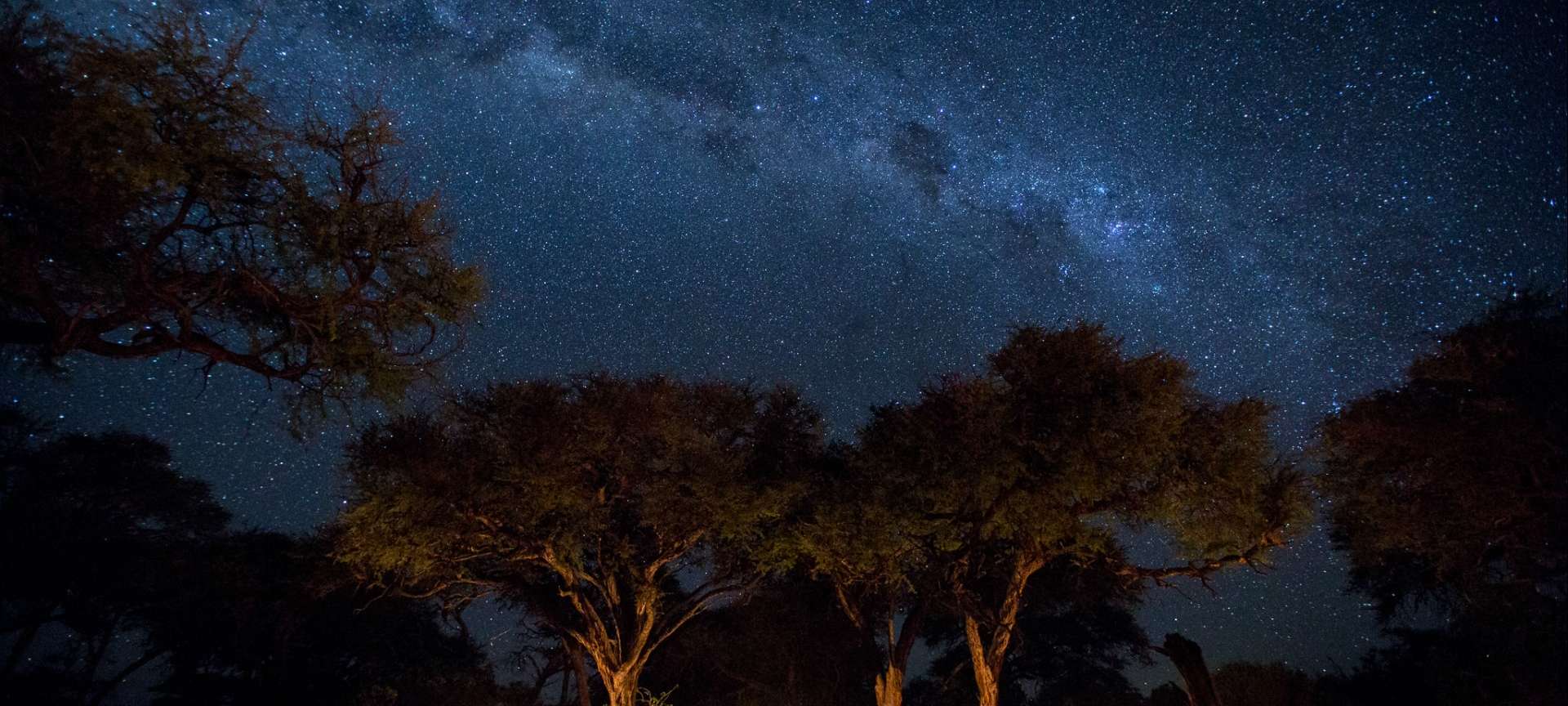 A night sky view of Botswana