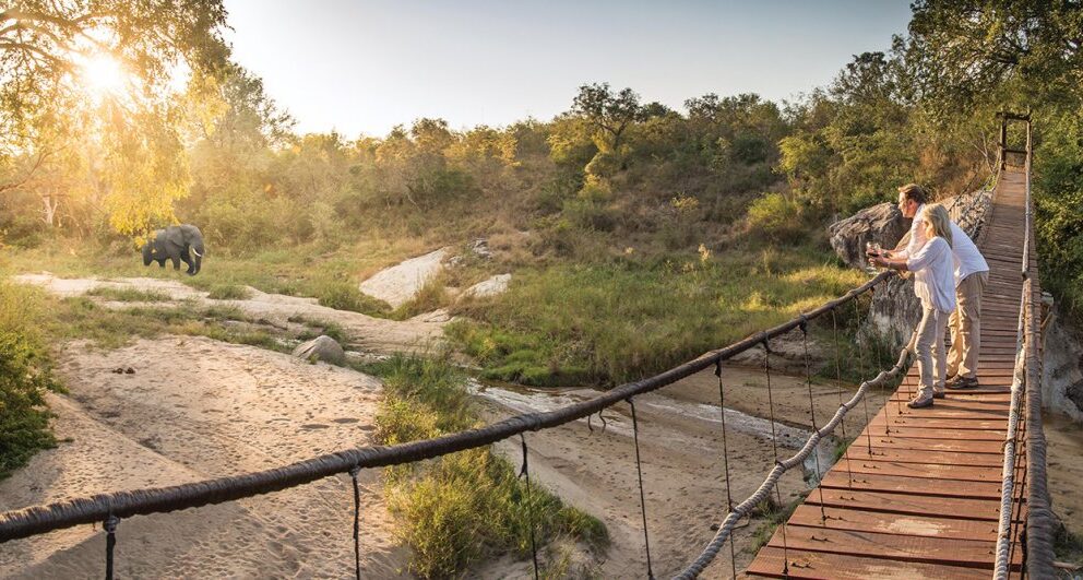 Lodge Review: Dulini Lodge, Dulini Private Game Reserve