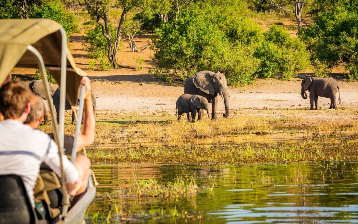 Memorable Botswana Family Tours Designed for All Ages - Top Destinations in Botswana for Families