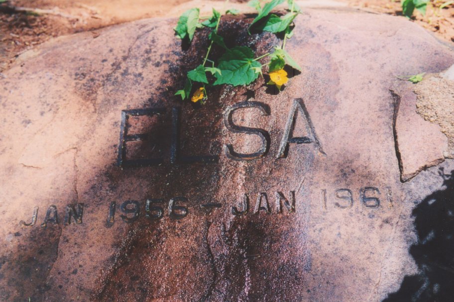 Paul D_Elsas Grave_Kenya