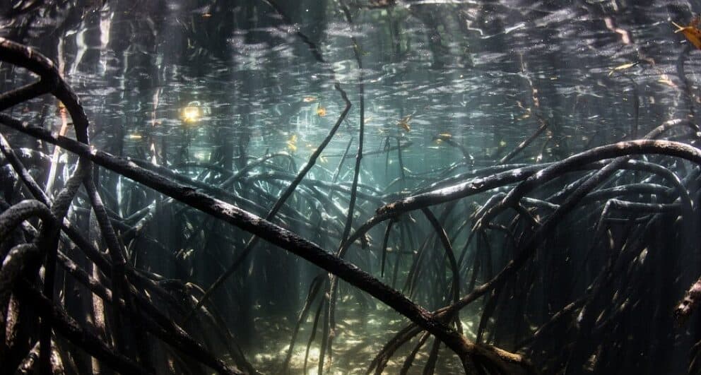 Travel Tips: 12 hours in Durban