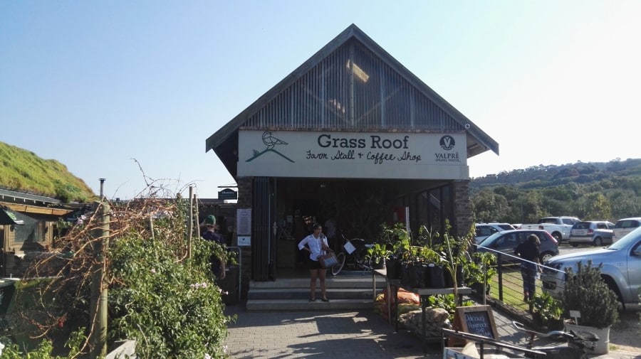 Travel Tips: 12 hours in Port Elizabeth