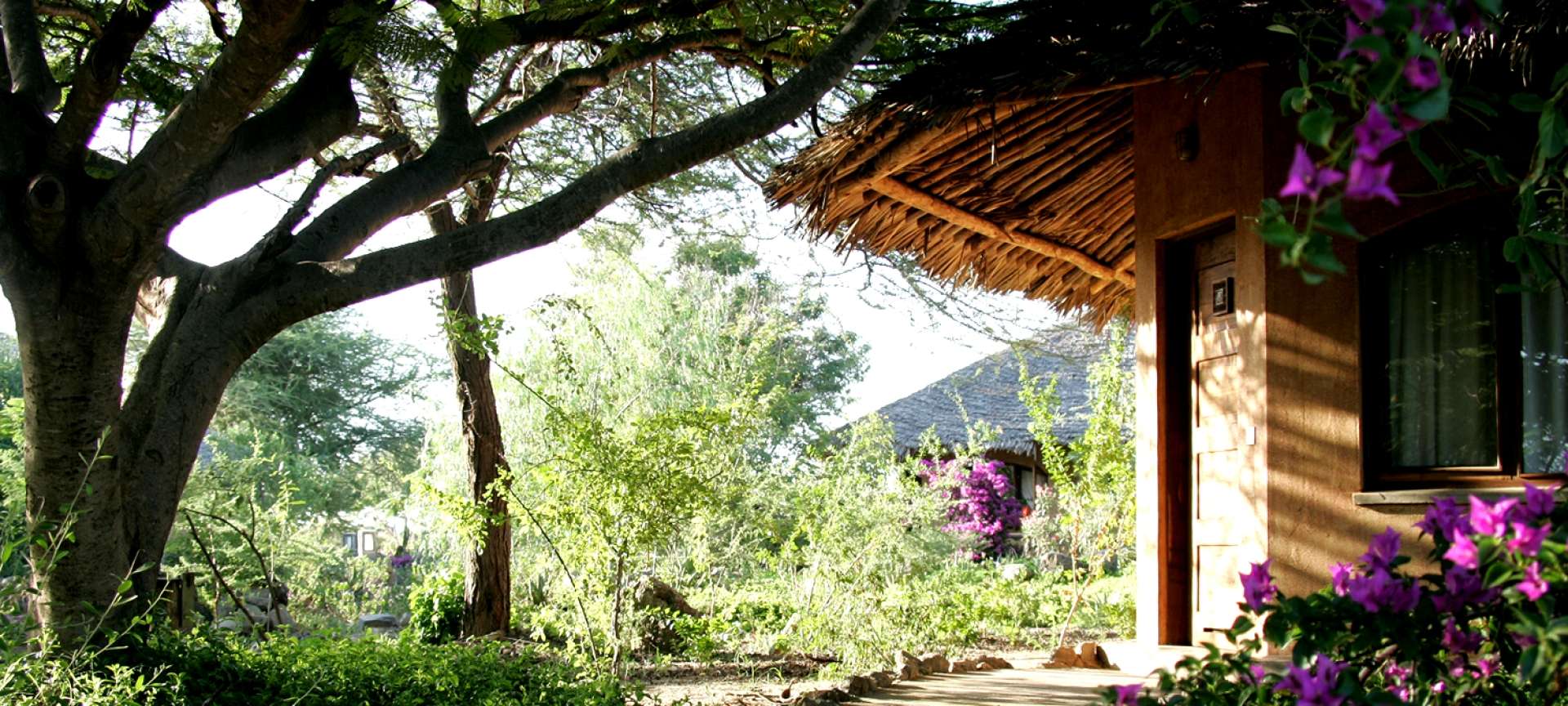 Kia Lodge in Tanzania