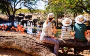 A mother and two children on safari watching elephants at a small waterhole in the African Bush.