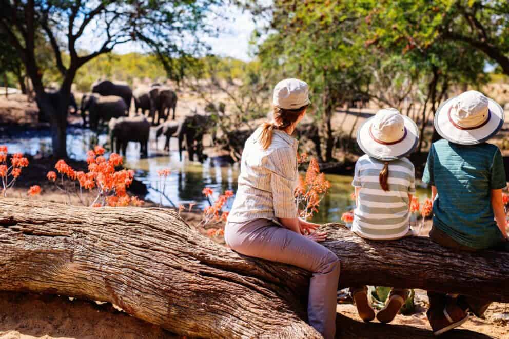 A mother and two children on safari watching elephants at a small waterhole in the African Bush.