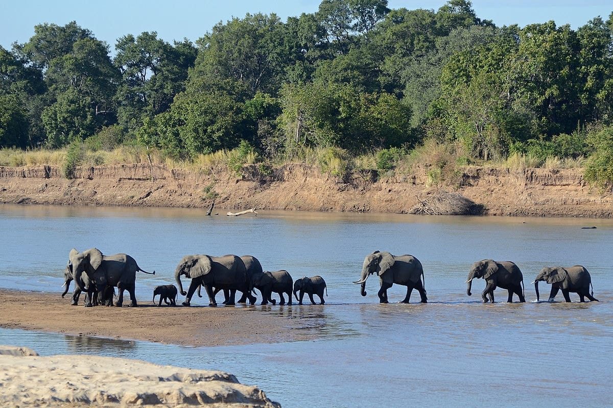 Luangwa Valley in North-eastern Zambia