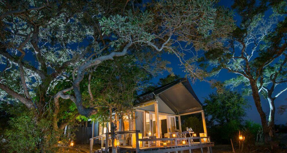 Three of the best family-friendly safari lodges in Timbavati