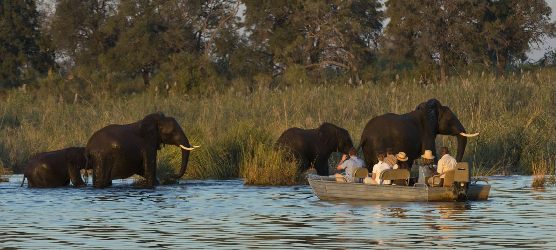 Elephant wading in the Zambezi River