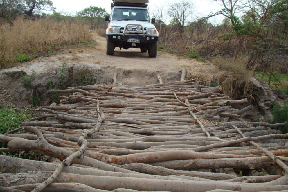 Self-drive safari in Kasanka National Park, Zambia.