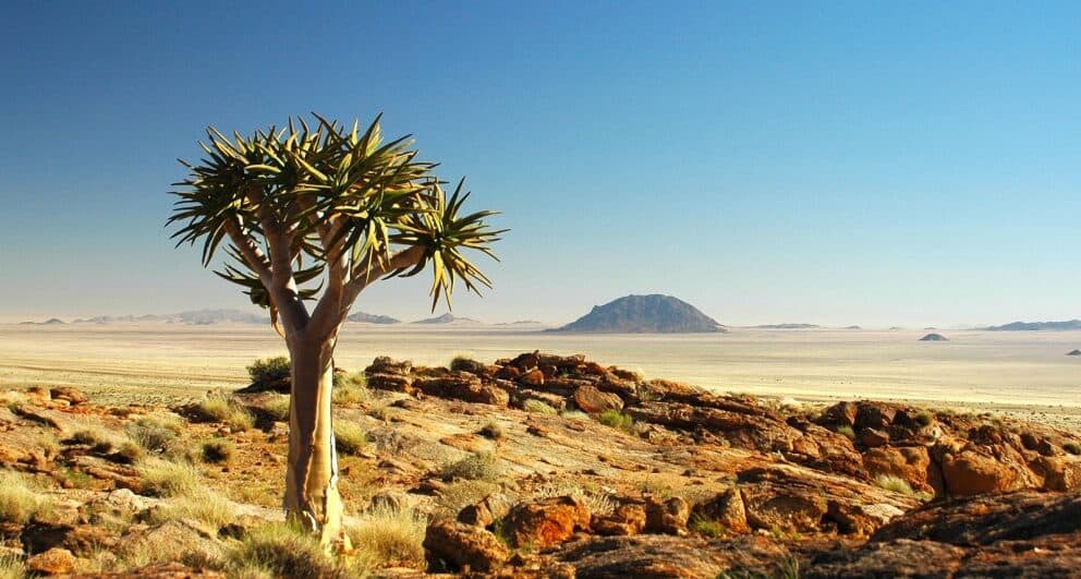 fish-river-canyon-namibia-safari-3