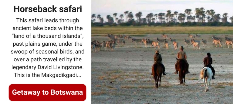 The rise of astro tourism in Africa