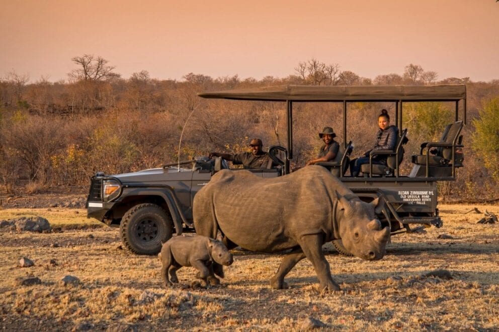 Rhino with its baby spotted on a game drive. Photo: Livingstone Victoria Falls Hotel