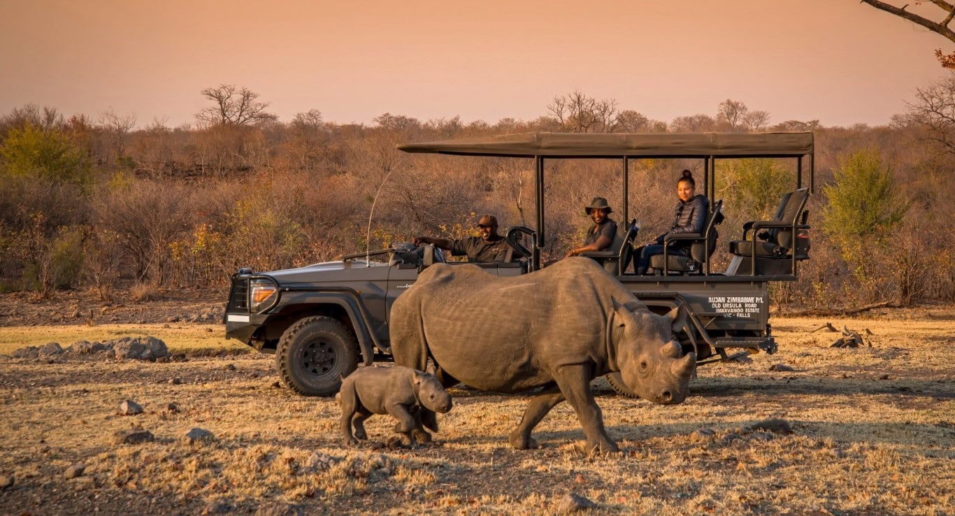 Rhino with its baby spotted on a game drive. Photo: Livingstone Victoria Falls Hotel