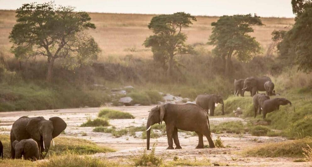 kenya-safari-holidays