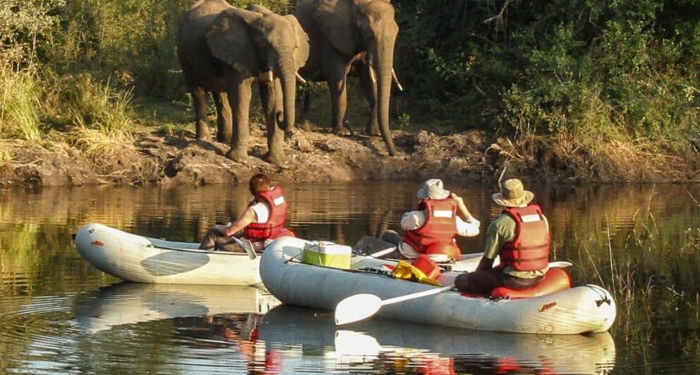 zimbabwe-safari