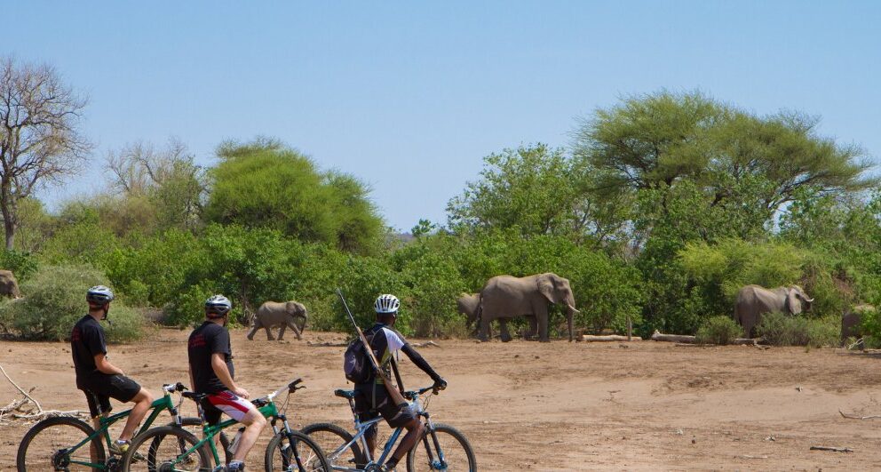 A short guide to Mashatu Game Reserve