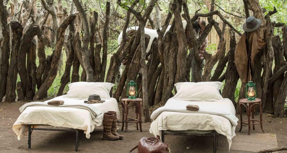 A short guide to Mashatu Game Reserve