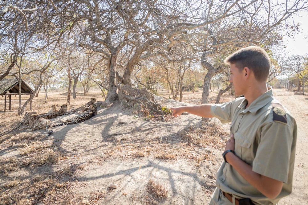 Kruger National Park guided safaris