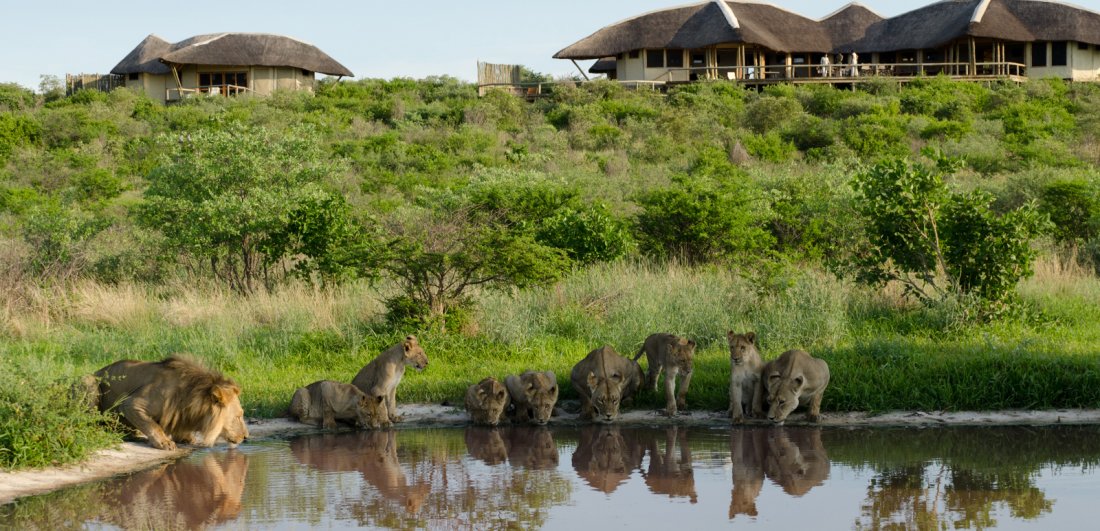 The green season in Botswana generally has some great accommodation savings