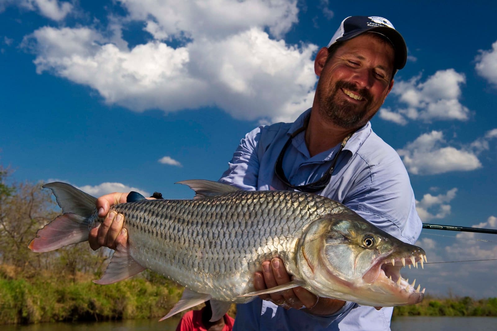 Tiger fishing is a drawcard for avid anglers