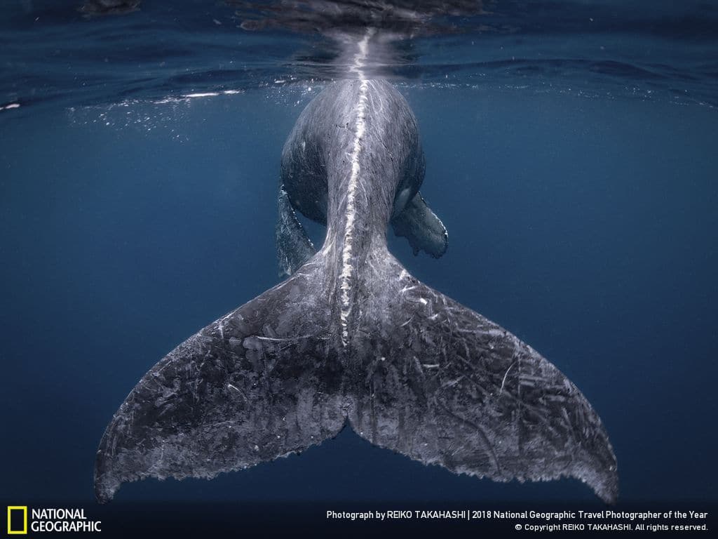 The National Geographic Travel Photography 2018 winners