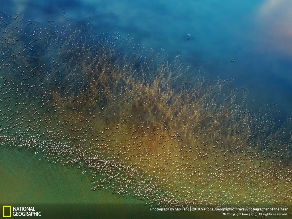 The National Geographic Travel Photography 2018 winners