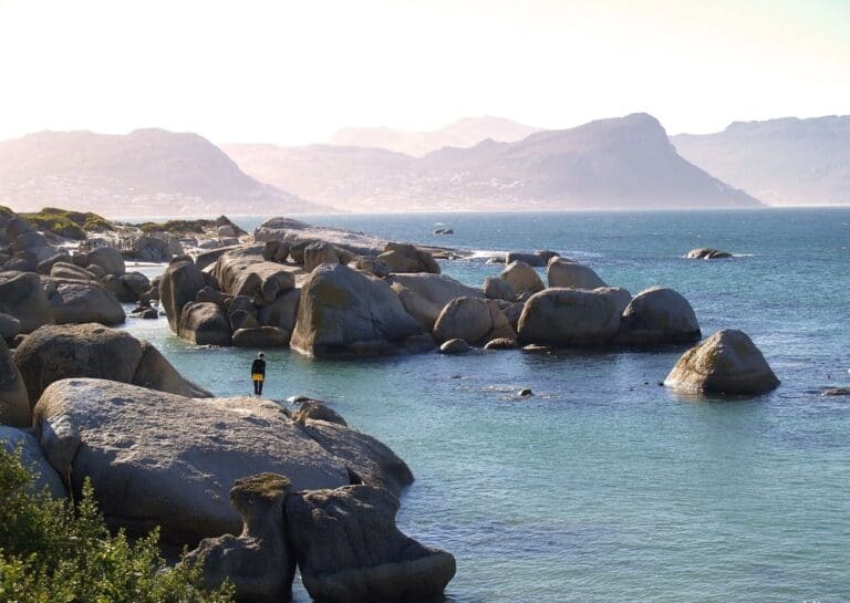 False Bay Discover Africa Safaris