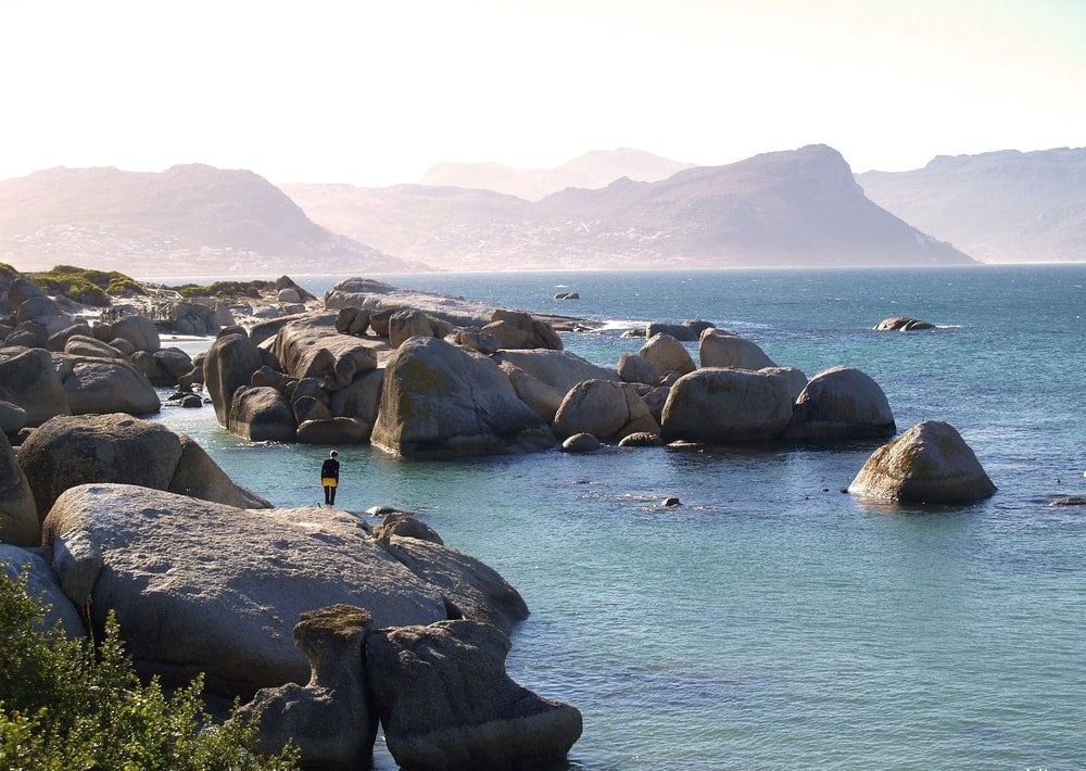 There is a small granite island in the bay (not discernible in the image above) called Seal Island), which is one of the main breeding sites for the Cape Fur seal and attracts the Great white sharks.