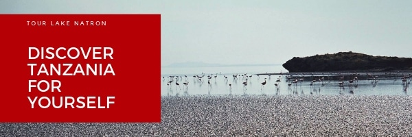 The National Geographic Travel Photography 2018 winners