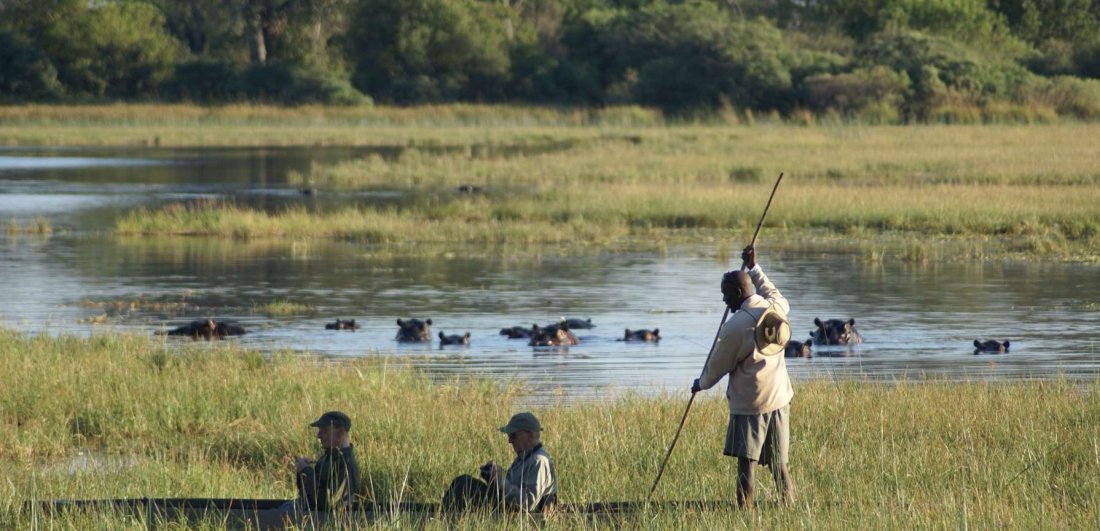 Mokoro rides are a highlight in the southern concessions of the Okavango Delta