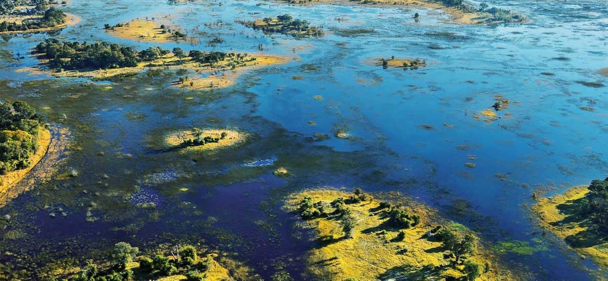 Okavango Delta supports at least 2000 species flora and fauna