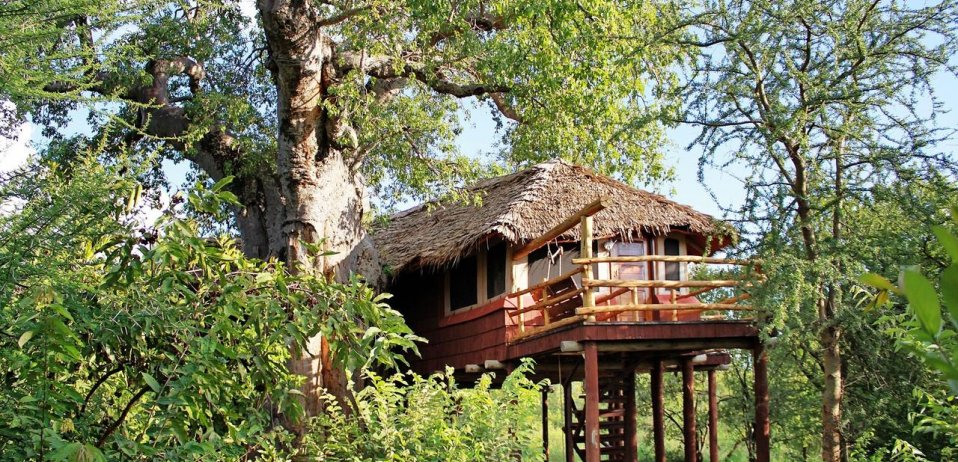 Explore Elewana Collection's Tarangire Treetops | Discover Africa Safaris