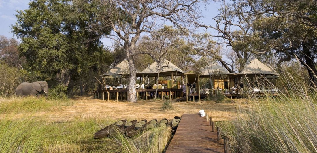 Elephant spotted around luxury Okavango Delta lodge