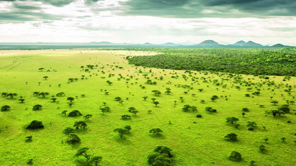 green season safari masai mara