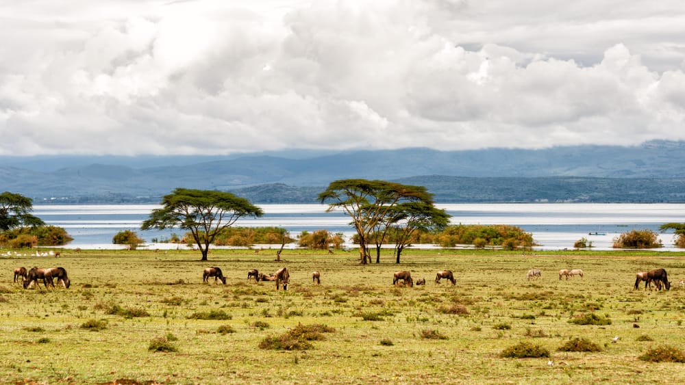 kenya safari thunder clouds