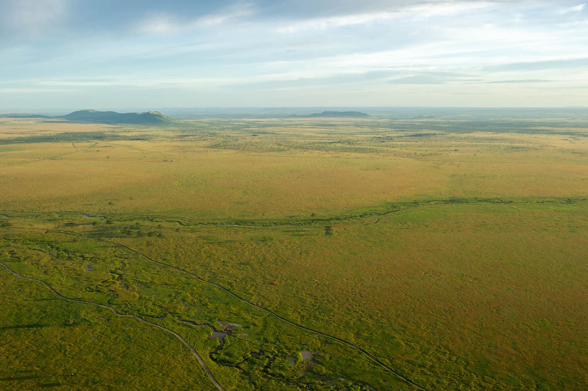 serengeti tanzania safari landscape green