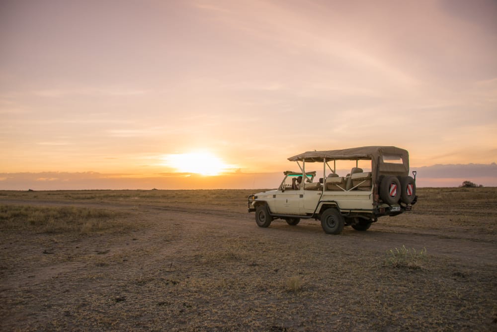 How do Game Drives Work on a Safari and Will You Spot The Big Five?