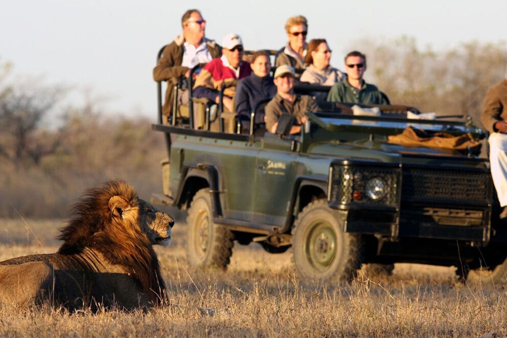 How Much Does a 10-day Kruger Safari Cost?