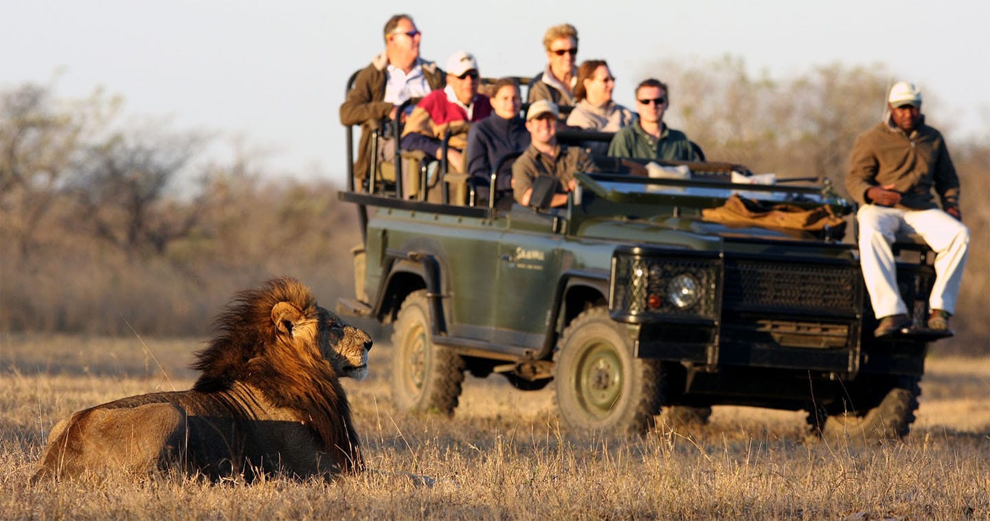 The Best Seven Day Kruger Park Safari Itinerary