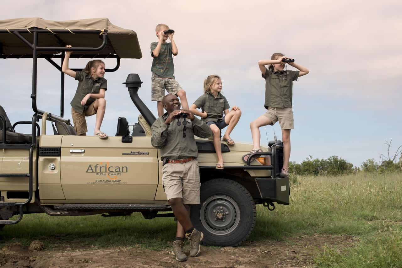 How Much Does a Botswana Safari Cost Discover Africa Safaris