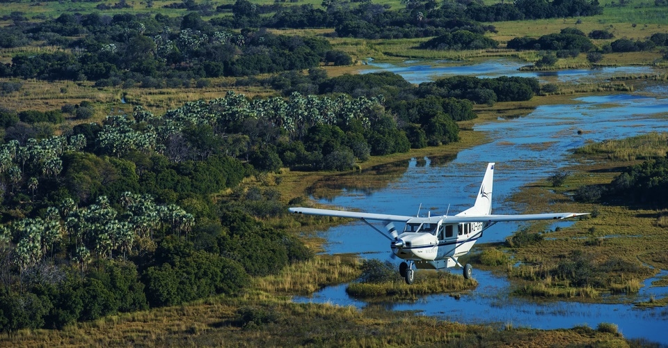 How to Start Planning a Botswana Safari