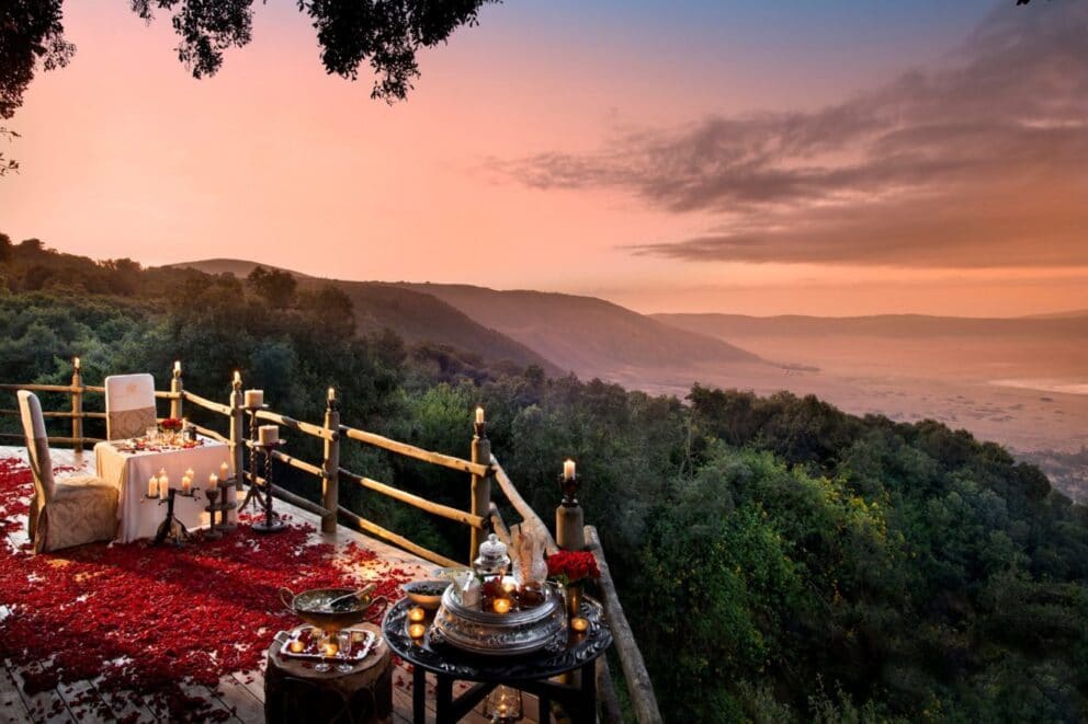 A Quick Newbie Safari Guide to Tanzania