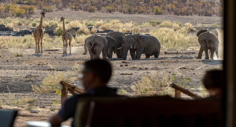 Hobatere Lodge Game Viewing | Photo Credits: Denzel Bezuidenhout