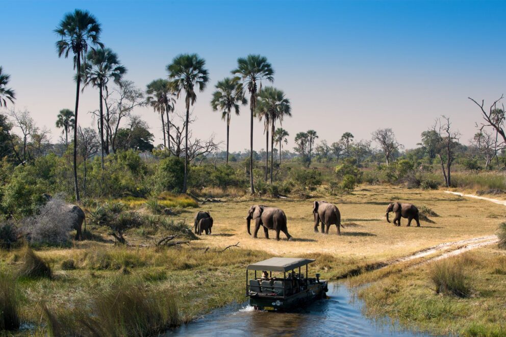 Chobe National Park | Botswana