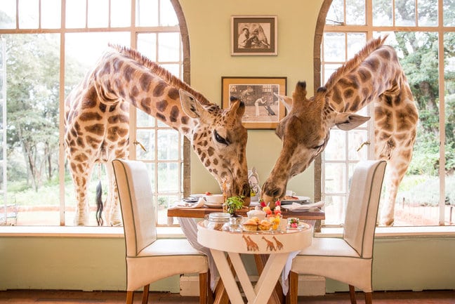 Giraffe Manor in Kenya
